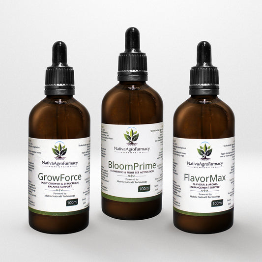 High-Yield Productivity Pack