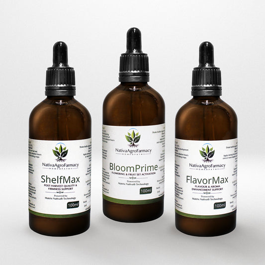 Premium Flavor & Finish Pack