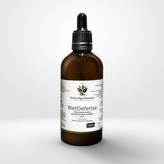 WetDefense